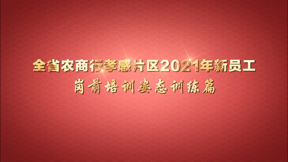 全省農(nóng)商行孝感片區(qū)2021年新員工崗前培訓姿態(tài)訓練篇